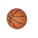 7 In. Mini Basketball (NG2213)