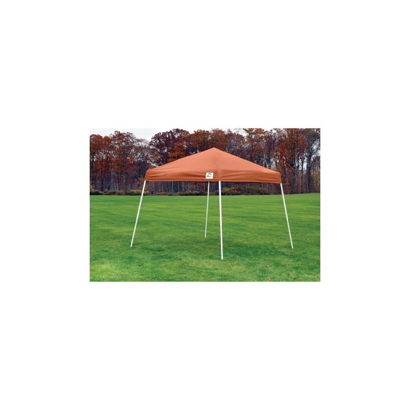 Shelterlogic 2024 10x10 canopy