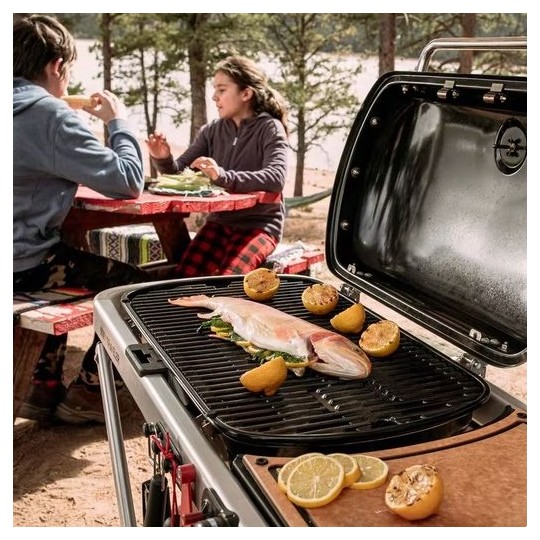 Weber Traveler Portable Gas Grill - Black (9010001)