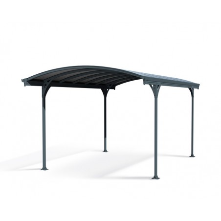 Palram - Canopia Vitoria 5000 16x9.5 Carport Kit - Gray / Gray (HG9130)