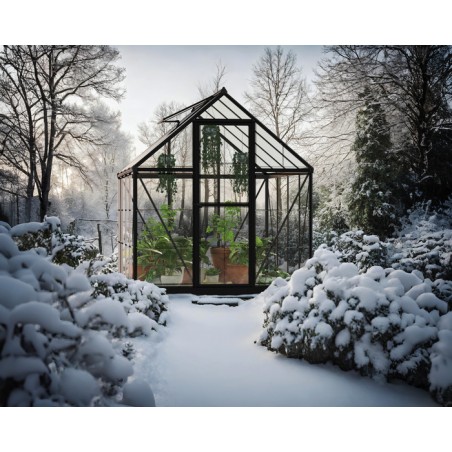 Palram - Canopia Hybrid 6' x 8' Greenhouse Kit - Black (HG5508K)