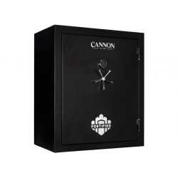 Cannon Security Products  (FD5950-H22FBC-23-DS)