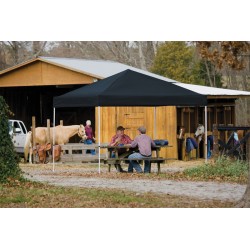 ShelterLogic Straight Leg 12x12 Pop-up Canopy - Black (22541)