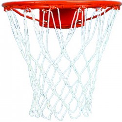 Gared 13” Practice Rim with...