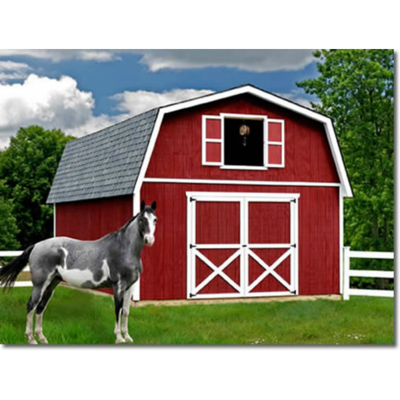 Best Barns Roanoke 16x28 Wood Storage Shed Kit Roanoke1628