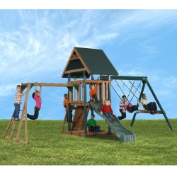 jumbo 2 swingset with monkey bars for sale